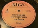 Jah Shaka Mad Professor Only One God Rare Killer Roots 12