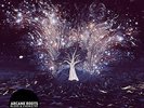 ARCANE ROOTS BLOOD & CHEMISTRY LP VINYL NEW 2013 180GM CD INCLUDED