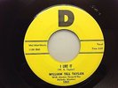WILLIAM TELL TAYLOR I LIKE IT M- ORIGINAL  RARE ROCKABILLY 45 D LABEL