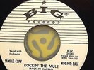 PRETTY BOY ROCKIN' THE MULE BIG LABEL M-  ORIGINAL ROCKABILLY 45  WLP PROMO