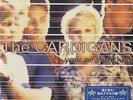 Cardigans 7