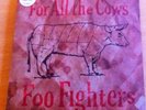Foo Fighters - All The Cows 7