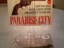 Guns n Roses Paradise City 7
