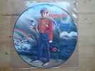 Marillion - Misplaced Childhood Picture Disc Vinyl - Mint Condition