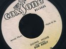 1391 BOB ANDY-GOING HOME-SCORCHER-STRAIGHT FLUSH-COXSONE-REGGAE 45 7