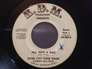 RIVER CITY FUNK BAND - FELL INTO A BAG - FUNK HOLY GRAIL 45 - R.D.M.