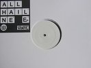 NATURAL ELEMENTS/ALL HAIL NE/RARE TEST PRESSING CHOPPED HERRING RECORDS