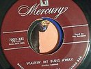 Dreamers Walkin' My Blues Away Please Don't Leave Me Mercury 70019 R&B DooWop NM