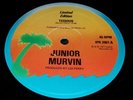 JUNIOR MURVIN TEDIOUS 12