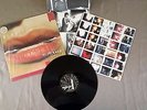 Elastica The Menace 12