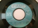 1962  The Companions  45  Promo  Record   How Could You - No Fool Am I  AMY  NM