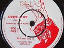 PALLAS ARRIVE ALIVE 7