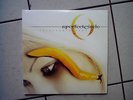 A Perfect Circle -  Thirteenth Step - 2-LP 2003 ss  TOOL