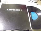SALTCREEK  1 LP  RARE PRIVATE GARAGE FOLK ROCK PSYCH 1971 ON UNITED SOUND EX