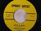 AUSTIN TAYLOR: Why O Why / Can't You See I'm Busy 45 (few tiny label spots) rar