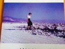 PINBACK  Blue Screen Life  RARE CLEAR VINYL 2xLP 2001 ACE FU (ace 15) NM