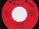 LARRY McGEE REVOLUTION The Burg RARE modern soul BOOGIE DISCO funk northern soul