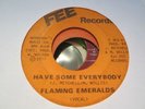 Modern Soul Disco 45 FLAMING EMERALDS have some everybody FEE hear