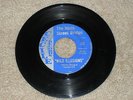 Ninth Street Bridge 45,Wild Illusions/Hey Boy/S-1968,Garage Rock, Rare