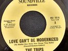 NORTHERN-THE TRIPS-LOVE CANT BE MODERNIZED/THERES THAT MOUNTAIN-US SOUNDVILLE