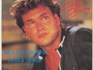 PATRICK SWAYZE       SHE´S LIKE THE WIND          STAY - Maurice Williams