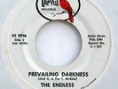THE ENDLESS Prevailing Darkness 45 1966 Garage