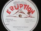 TEDDY BROWN Weather Woman ORIGINAL ERUPTION 12