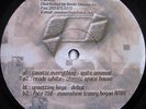 (Path) PATHFINDER - V/A - CAUSTIC EVERYTHING, READE WHITE, FATE 258 Techno vinyl