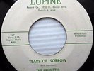 The Primettes FIRST SUPREMES Pre Motown 45 Tears Of Sorrow on Lupine e1037 HEAR