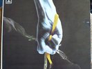 TEAR GAS - TEAR GAS LP ALBUM - 1971 VENEZUELAN PRESS (  EX ALEX HARVEY BAND )