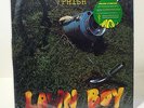 PHISH Lawn Boy 180-gram VINYL 2xLP Sealed RSD 2013 Numbered Etched D-Side