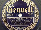 Chubb-Steinberg Orchestra+Wild Bill Davison | Gennett 5663 rare pre-War V+/V+