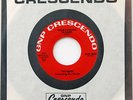 THE SEEDS Your Pushing Too Hard 45 Garage Psych