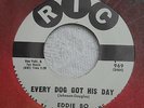 EDDIE BO 45  Every Dog Got His Day on RIC Promo Label 969