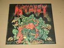AUTOPSY 