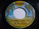 Voice Masters If a Woman Catches a Fool / Dance Right into my Heart 1969 45rpm