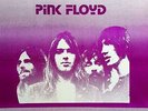 PINK FLOYD - Take Linda Surfin' [BOOTLEG] Vinyl LP