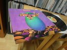 RECREATION PROG. KILLER 1972 BELGIUM LP IN MINT