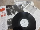 DEAD KENNEDYS - Fresh Fruit 12