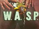 W.A.S.P(7