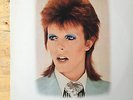 DAVID BOWIE WHO'LL LOVE ALADDIN SANE IN TOKYO - Rare Live Vinyl LP