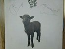 Skyhooks - Straight In A Gay Gay World ORIGINAL LP 1976 SIGNED