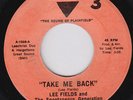 LEE FIELDS Take Me Back  northern soul 45 STUNNING crossover funk HEAR
