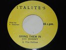 JUG JOHNNY & THE ITALITES - BRING THEM IN - 7