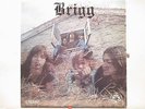 Brigg  SSP 301  S/T  Private Press Psych    Pokora  NM