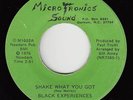 Funk Disco/Sweet Soul 45 - Black Experiences - Shake What You Got - Microtronics