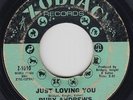 Northern Soul 45 - Ruby Andrews - Just Loving You - Zodiac - mp3