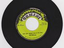 SOULITES - RISE AND SHINE / GEMINI (RARE ROOTS 7 ) 1971