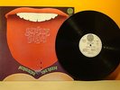 GENTLE GIANT - ACQUIRING THE TASTE - LP RARO - 1' STAMPA ITALY 1971 VERTIGO M/M
