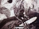 David Sylvian - Secrets Of The Beehive (LP, Album) - Vinyl - 95195